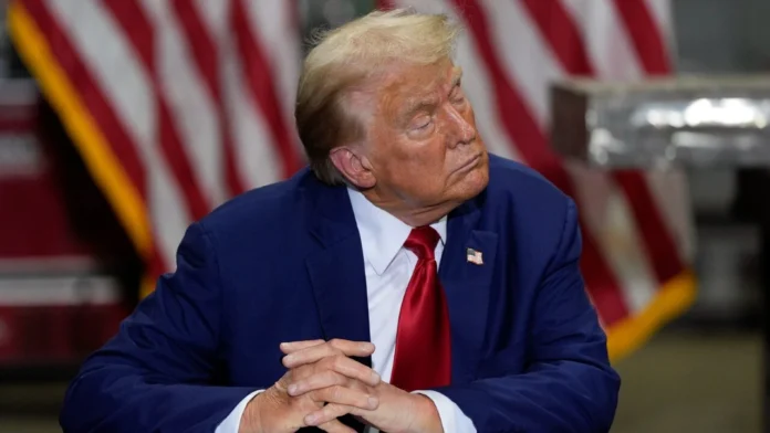 Taco Trump: The Meme Trade Shaking Up Wall Street