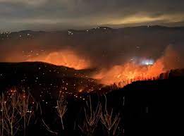 Henderson Fire in North County sparks evacuations as 30-45 acres burn. Stay updated on this urgent situation.
