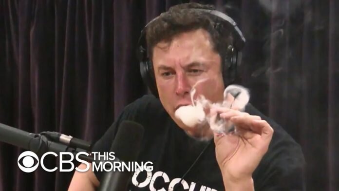 Elon Musk Drug Use