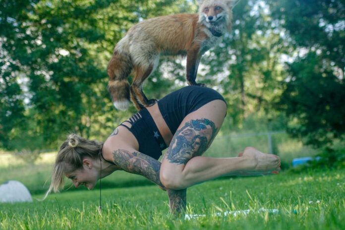 Save A Fox founder Mikayla Raines dies