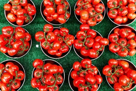 FDA Tomato Recall Salmonella