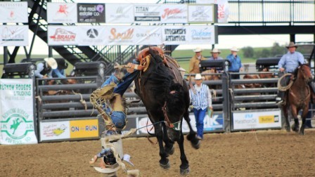Greeley Stampede