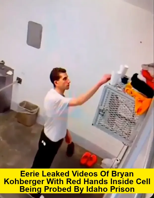 Eerie Leaked Videos of Bryan Kohberger With Red Hands Inside Cell Being Probed by Idaho Prison
