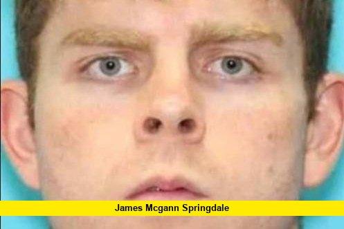 James McGann Springdale