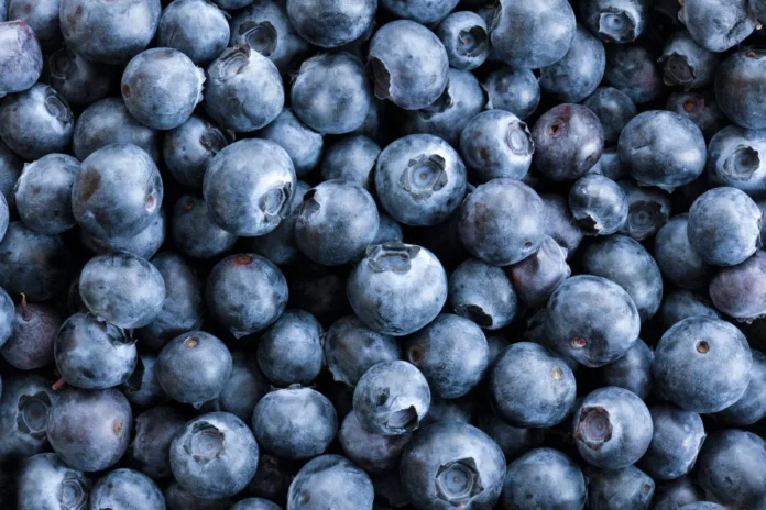 FDA Blueberry Recall Listeria