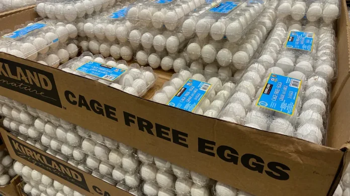 Costco Egg Recall