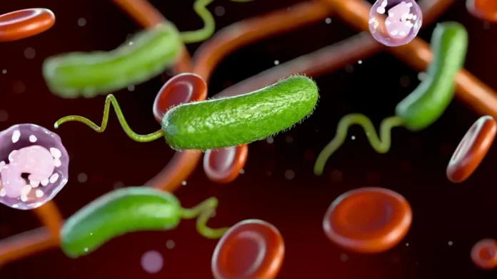 flesh-eating bacteria in Florida