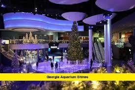 Georgia Aquarium Shines