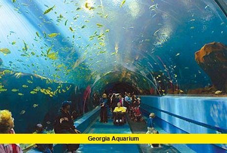Georgia Aquarium