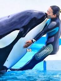 Jessica Radcliffe Orca Attack