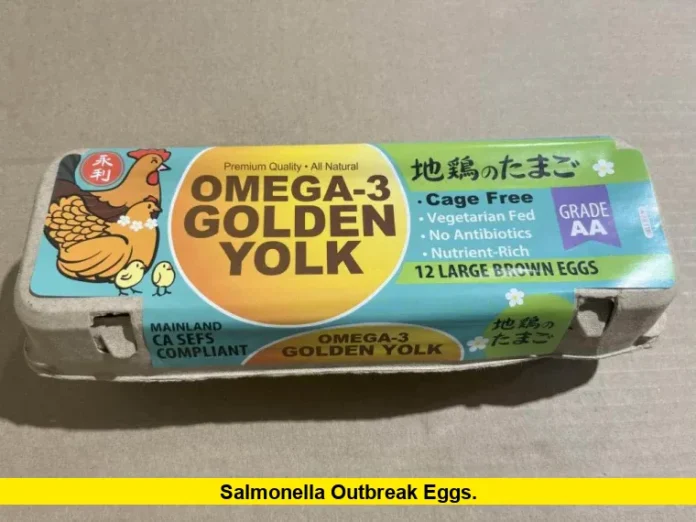 Salmonella Outbreak Eggs