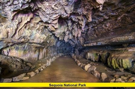 Sequoia National Park