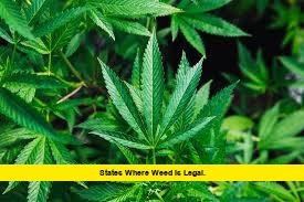 States Where Weed Is Legal