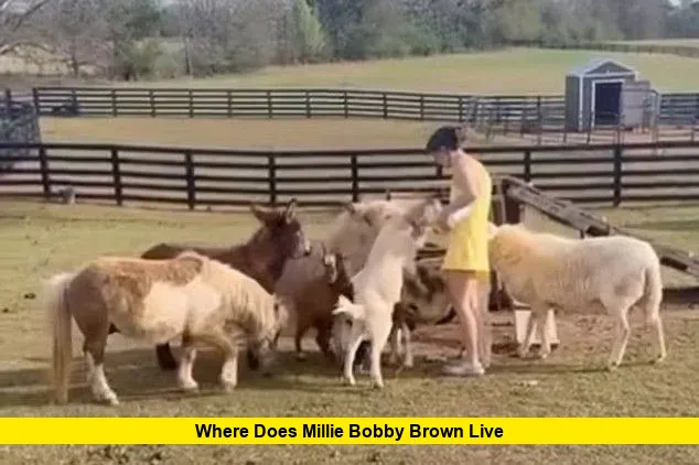 Where Does Millie Bobby Brown Live