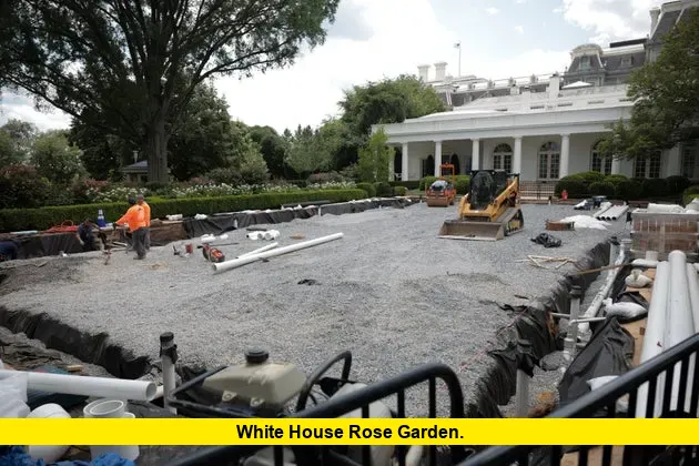 White House Rose Garden