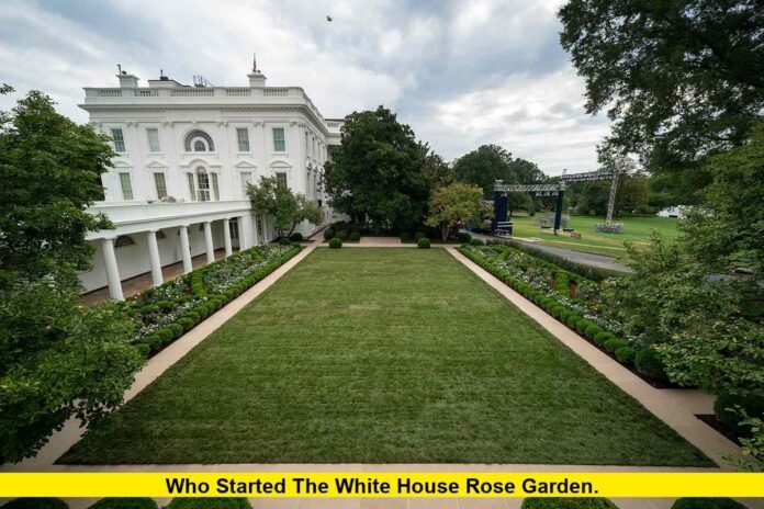 Who Started the White House Rose Garden