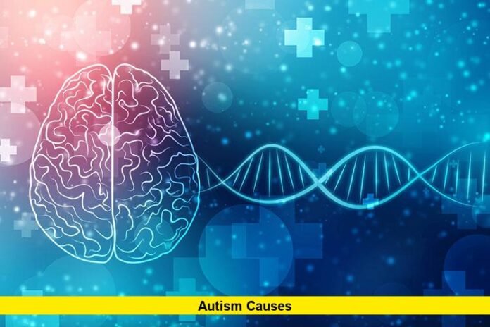 Autism Causes
