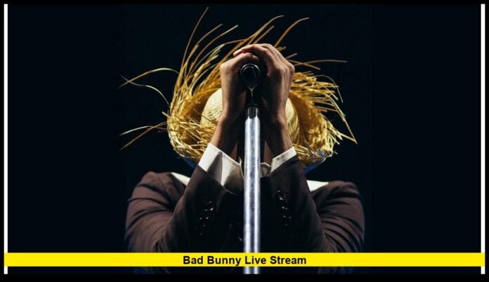 Bad Bunny Live Stream