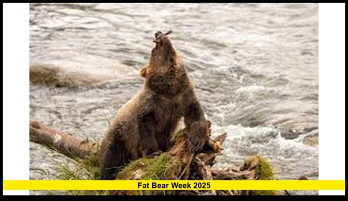 Fat Bear Week 2025: Dates, Bears, and What to Expect