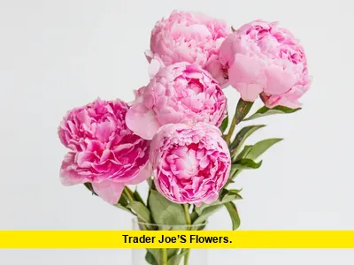 Trader Joe’s Flowers