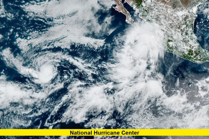 national hurricane center