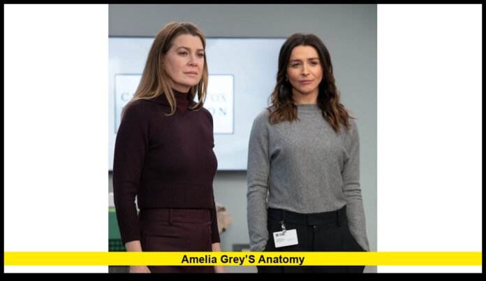 Amelia Grey’s Anatomy