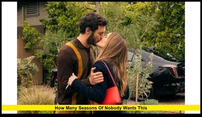 How Many Seasons of Nobody Wants This