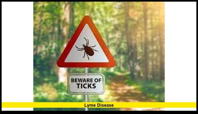Lyme disease