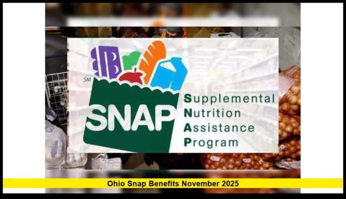 Ohio SNAP benefits November 2025