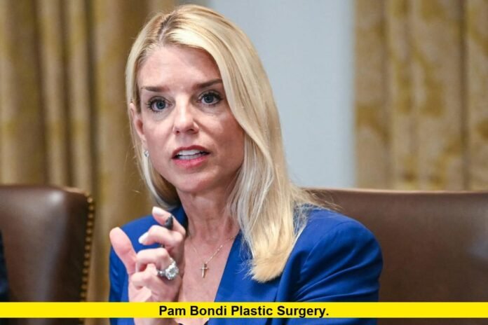 Pam Bondi Plastic Surgery