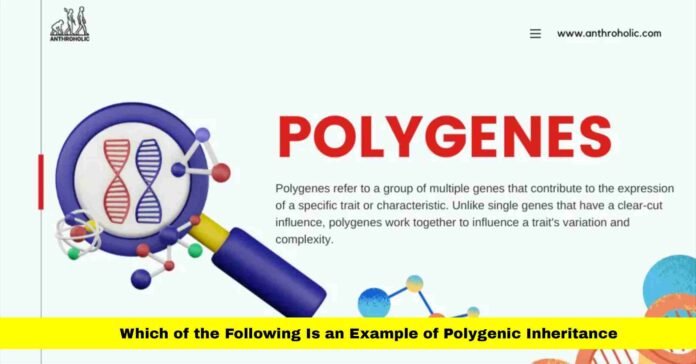 Which of the Following Is an Example of Polygenic Inheritance