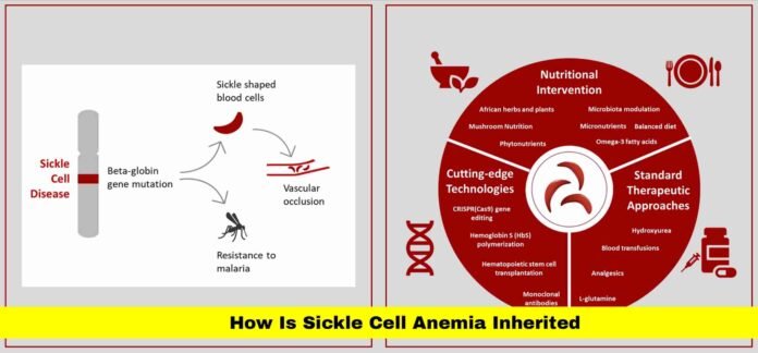 How Is Sickle Cell Anemia Inherited