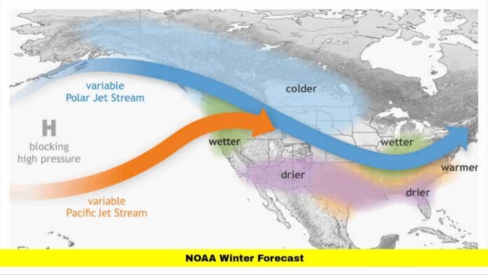 NOAA Winter Forecast