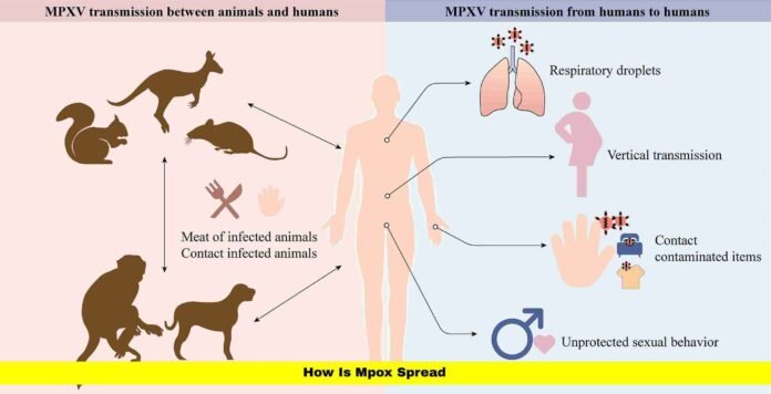 How Is Mpox Spread
