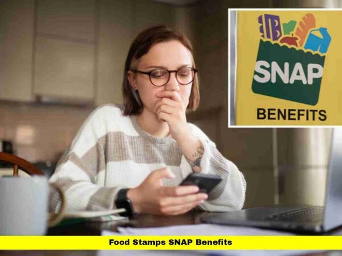 Food Stamps SNAP Benefits