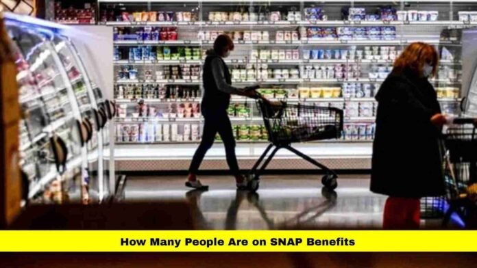 How Many People Are on SNAP Benefits