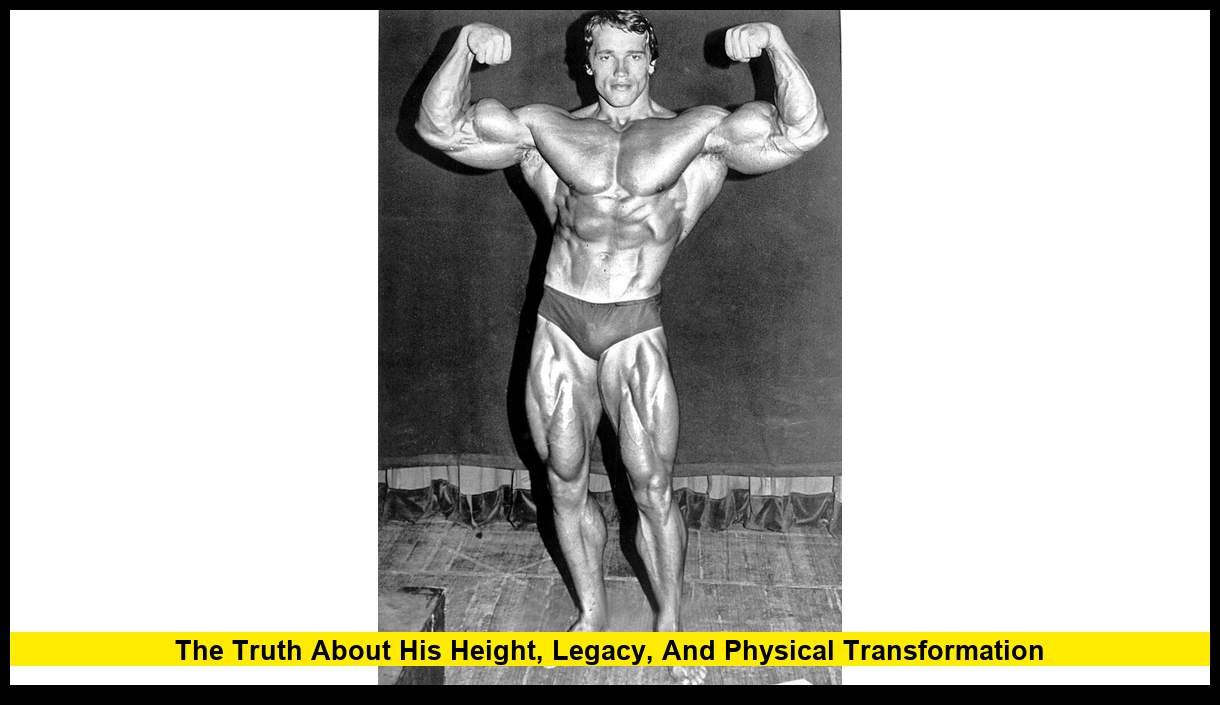 How Tall Is Arnold Schwarzenegger Really? The Truth About His Height ...