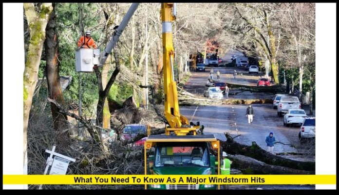 Power Outage Seattle: What You Need to Know as a Major Windstorm Hits