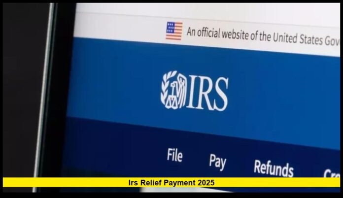 irs relief payment 2025 irs relief payment 2025