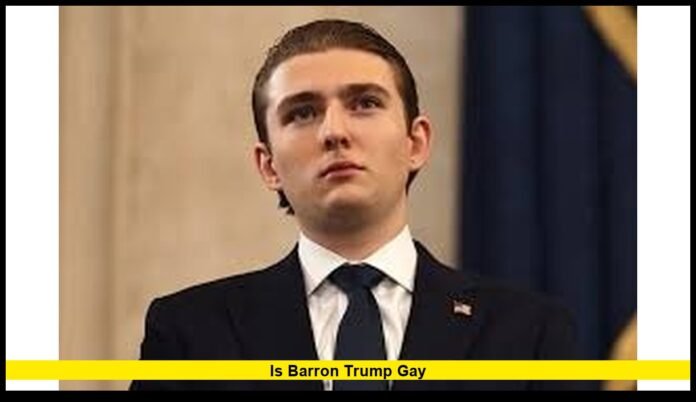 is Barron Trump gay