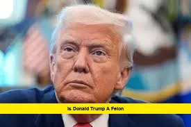 is donald trump a felon is donald trump a felon