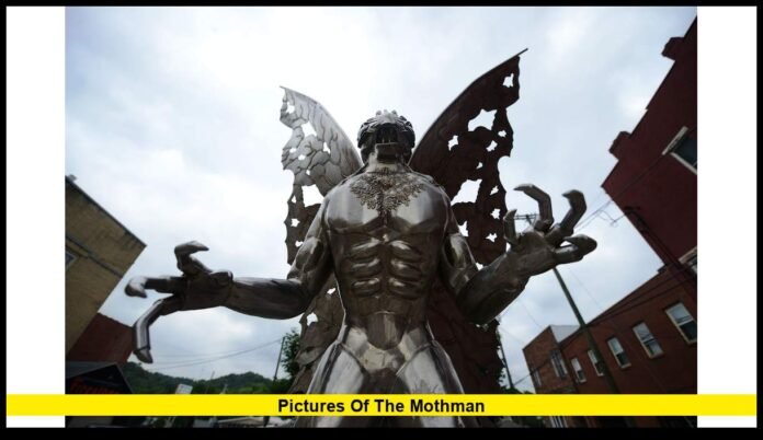 pictures of the Mothmankaise sir