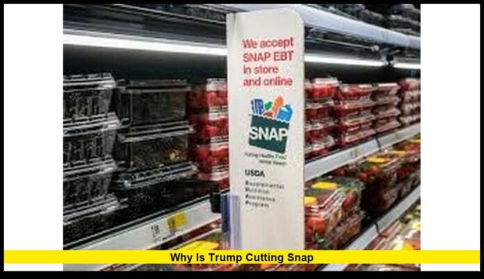 why is Trump cutting SNAP why is Trump cutting SNAP