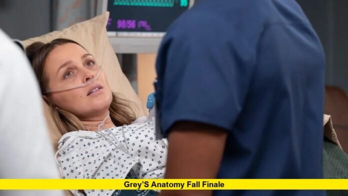 Grey’s Anatomy Fall Finale