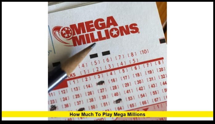 2025 Ticket Costs, Options, and Latest Details