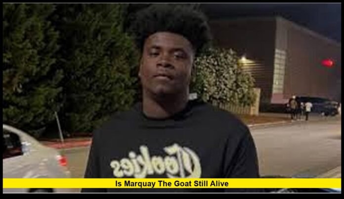 Is Marquay The Goat Still Alive The Truth About the Viral Rumors in 2025