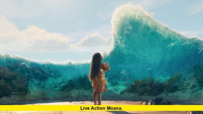 Moana Live Action