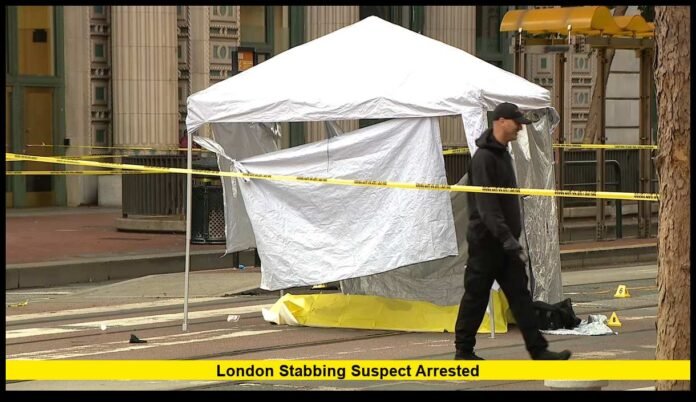 London Stabbing Suspect Arrested After Deadly Attack in Brixton