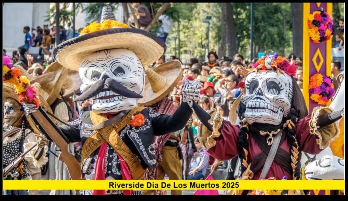 A Vibrant Celebration of Life, Culture, and Community