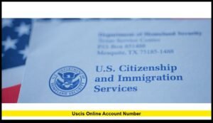 USCIS Online Account Number: Full 2025 Breakdown for Applicants